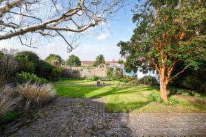 image 14