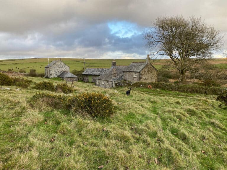 property 15
