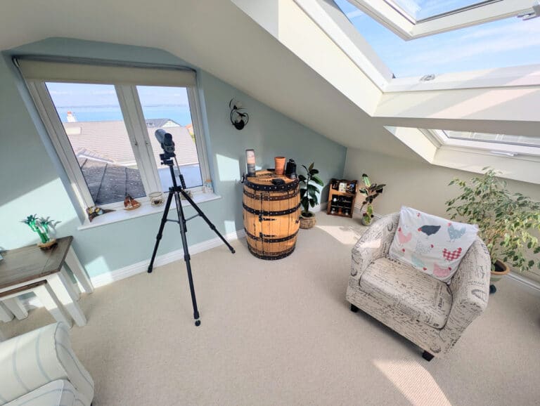 property 19
