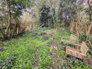 image 28