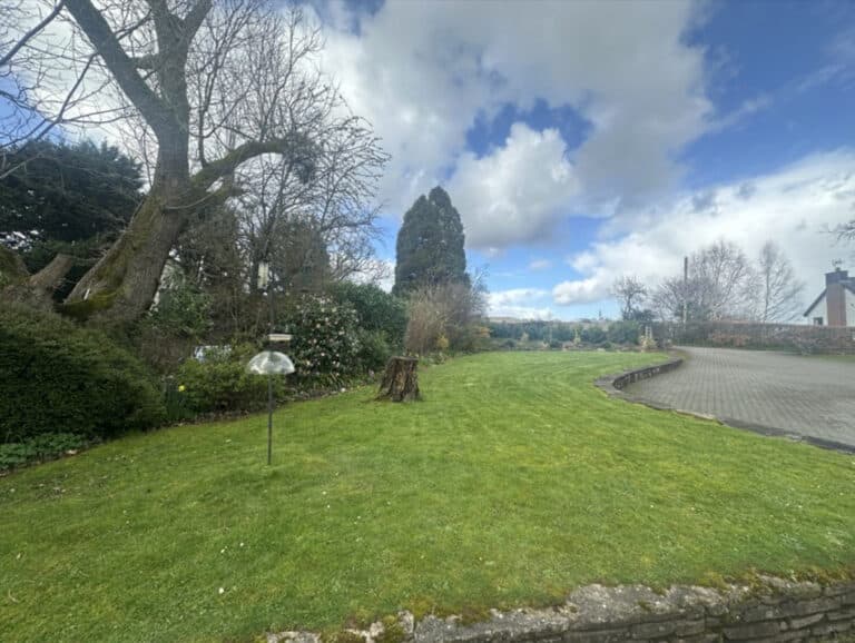 property 39