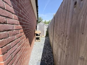 image 31