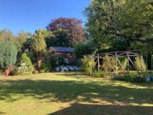 image 36
