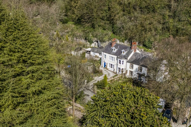 property 19