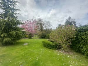 image 36