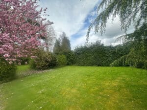 image 37