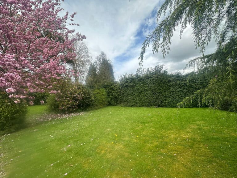 property 38