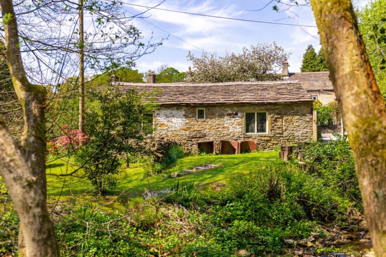 property 38