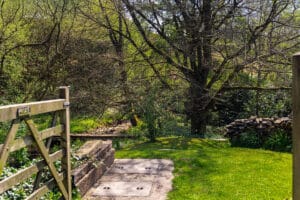 image 36