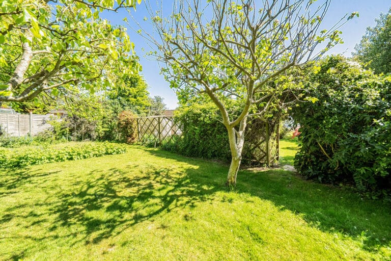property 36