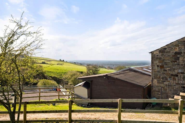 property 31