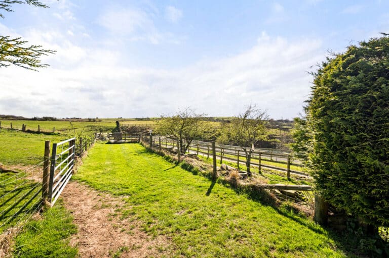 property 29