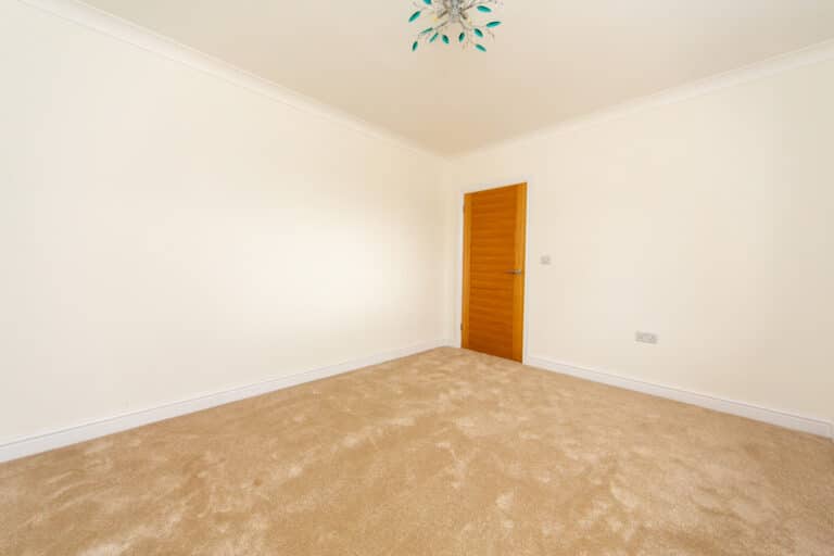 property 19