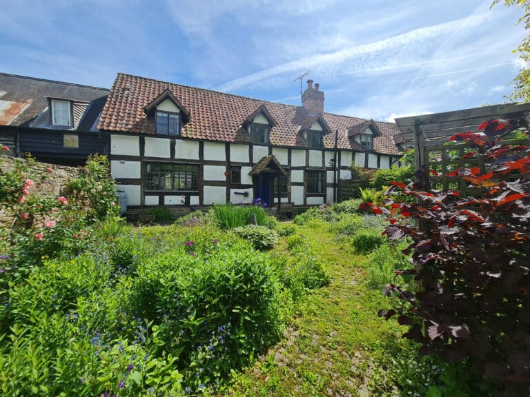 property 38