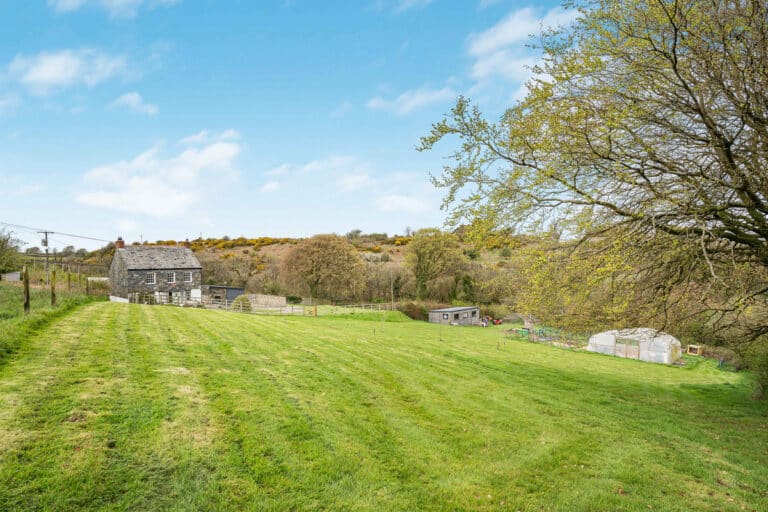 property 19