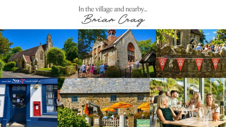 property 24