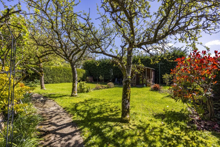 property 21