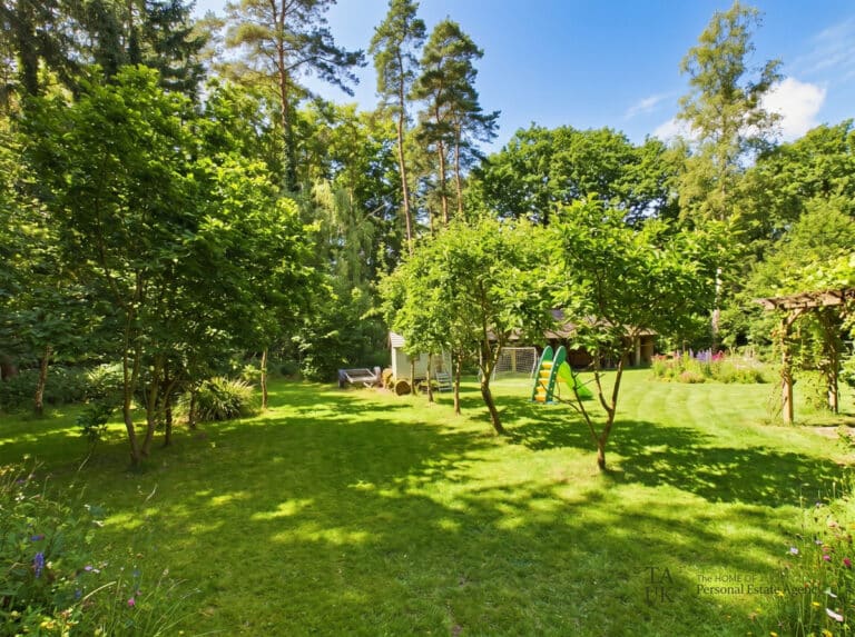 property 6