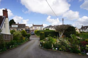 image 14