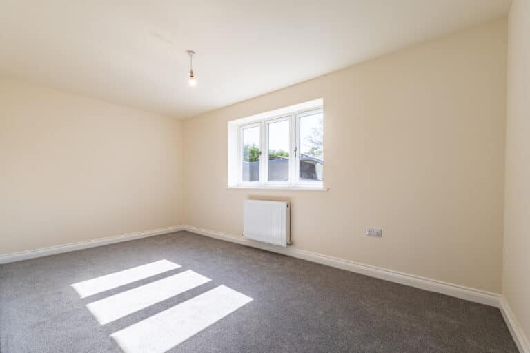 property 19