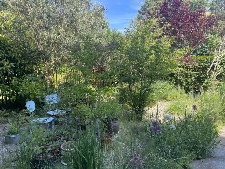 property 32