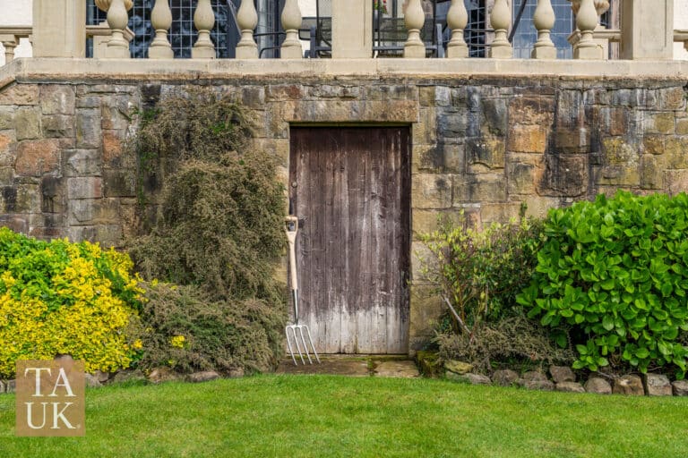 property 37