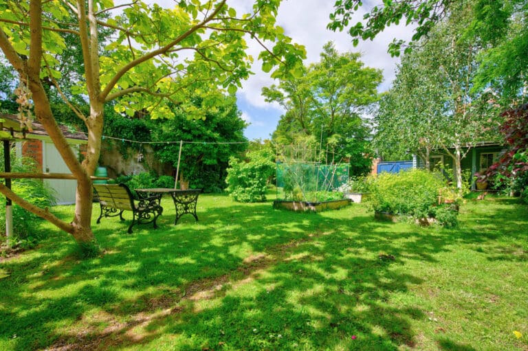 property 29