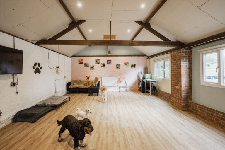 property 29
