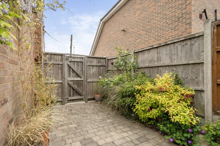 property 19