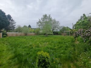 image 41