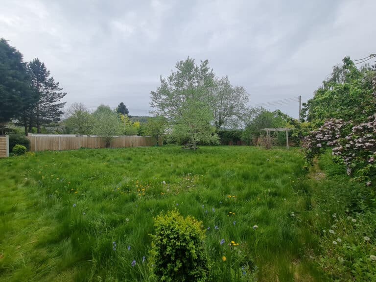 property 42