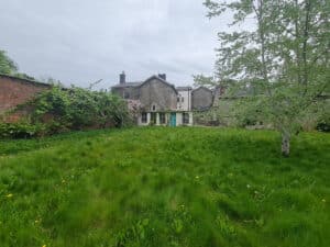 image 42