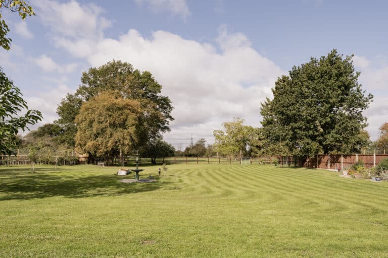 property 21