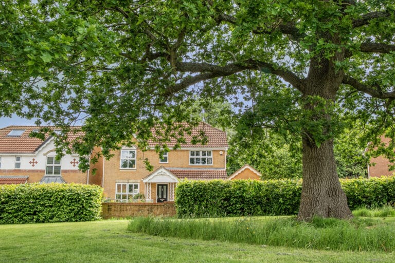 Property Image 0 Property Image 0
