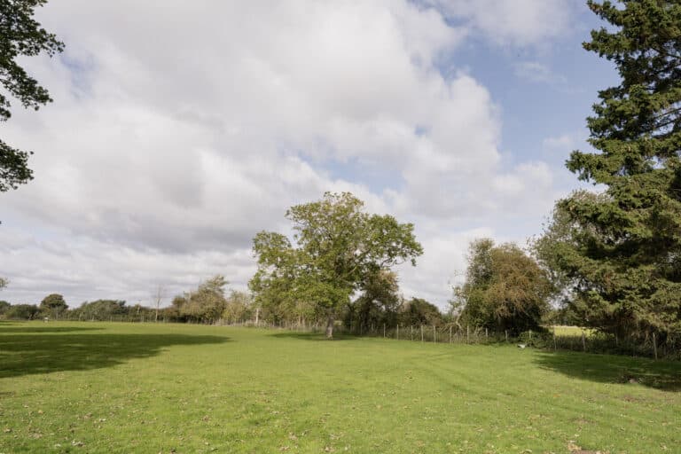 property 23