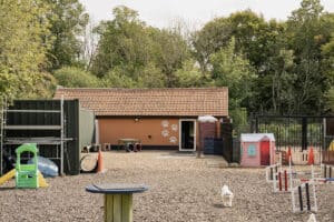 image 26