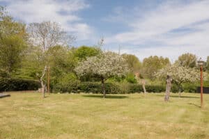 image 27