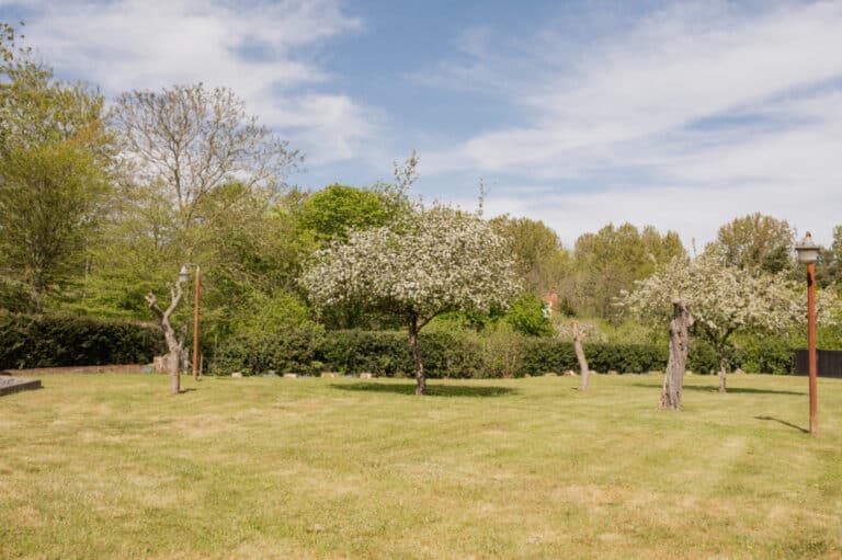 property 28