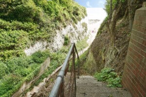 image 14