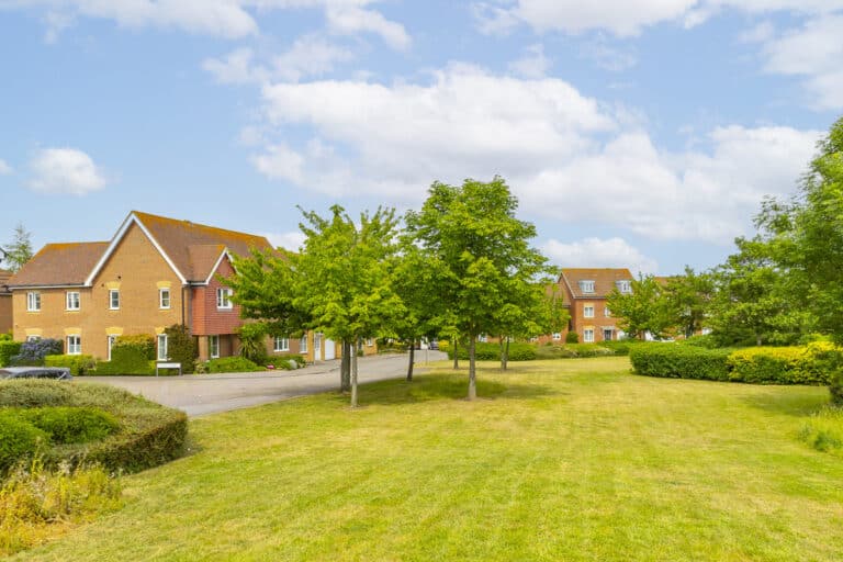 property 19