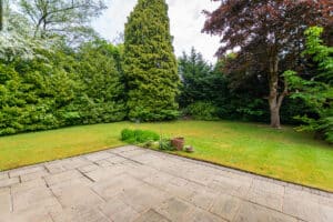 image 25