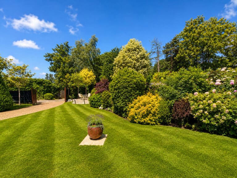 property 20