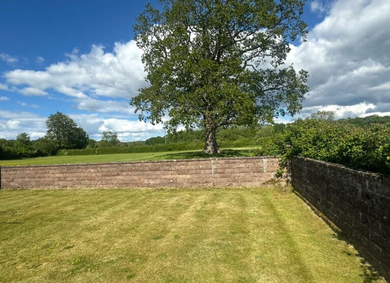 property 25