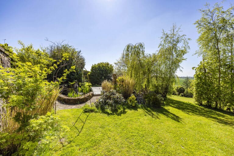 property 24
