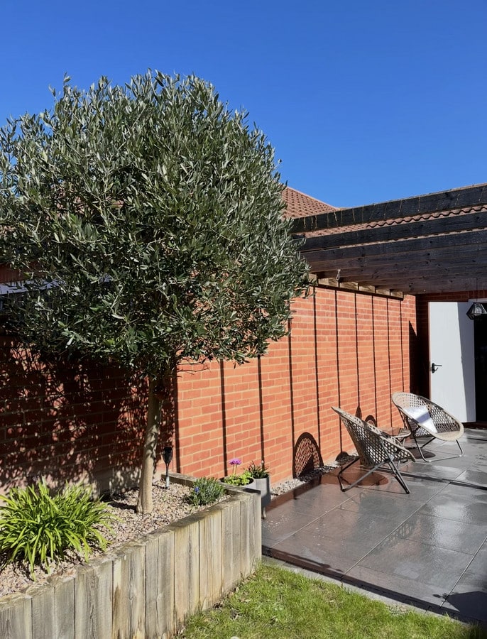 property 21