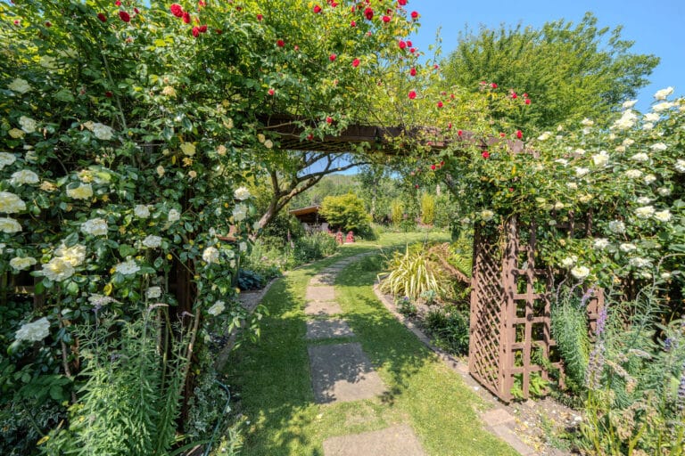 property 38