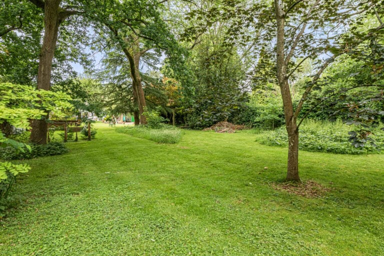 property 20