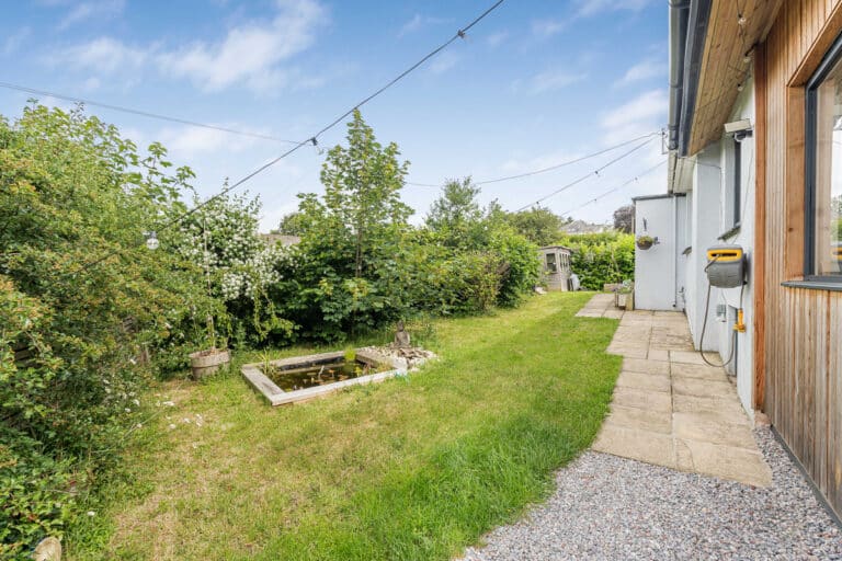 property 19