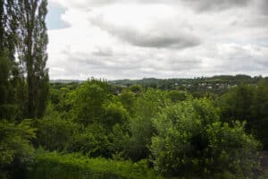 image 33