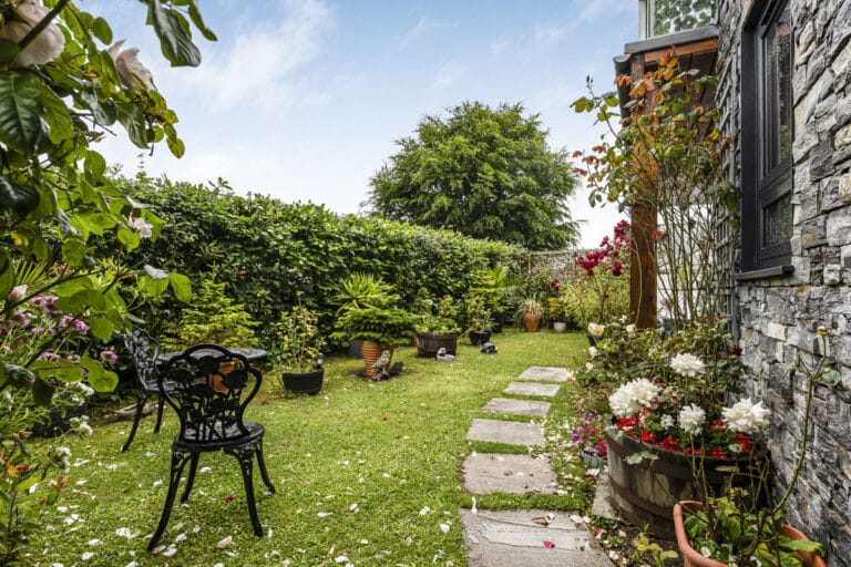 property 26